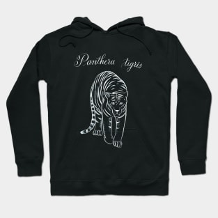 Tiger (Panthera tigris) Hoodie